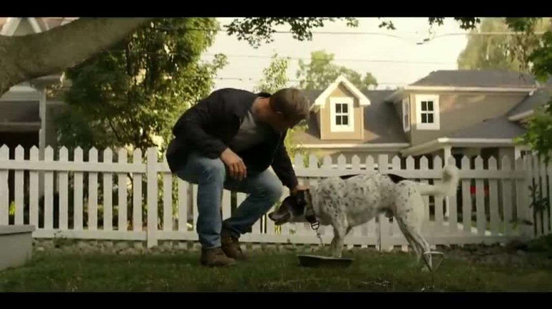 ⁣Reacher - Jack Reacher vs Dog's Owner Scene (1080p)