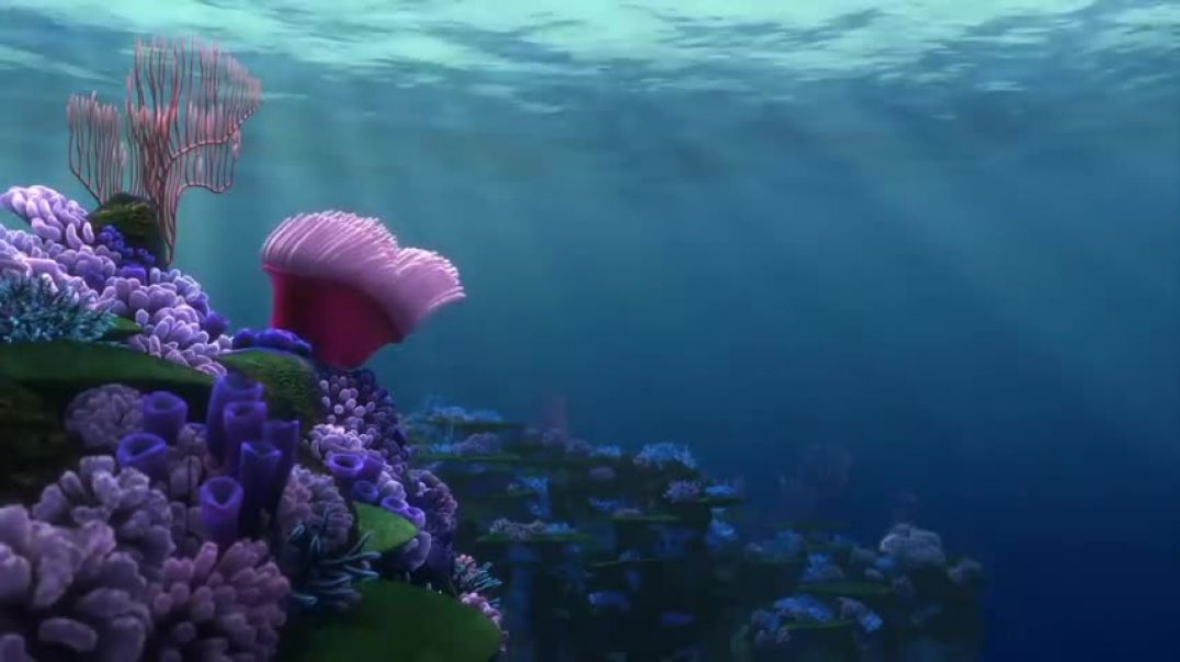 Coral Reef Finding Nemo Relaxing Calm Music for Sleep Meditation Chill Relax