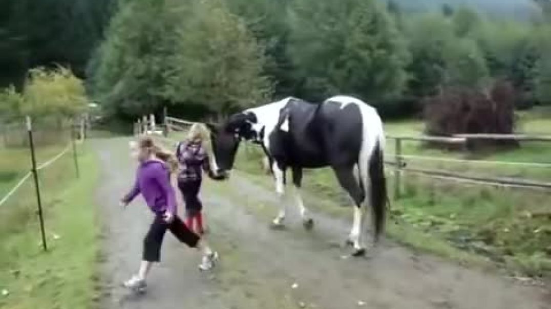 ⁣Horse farted and scared itself AND CHILD