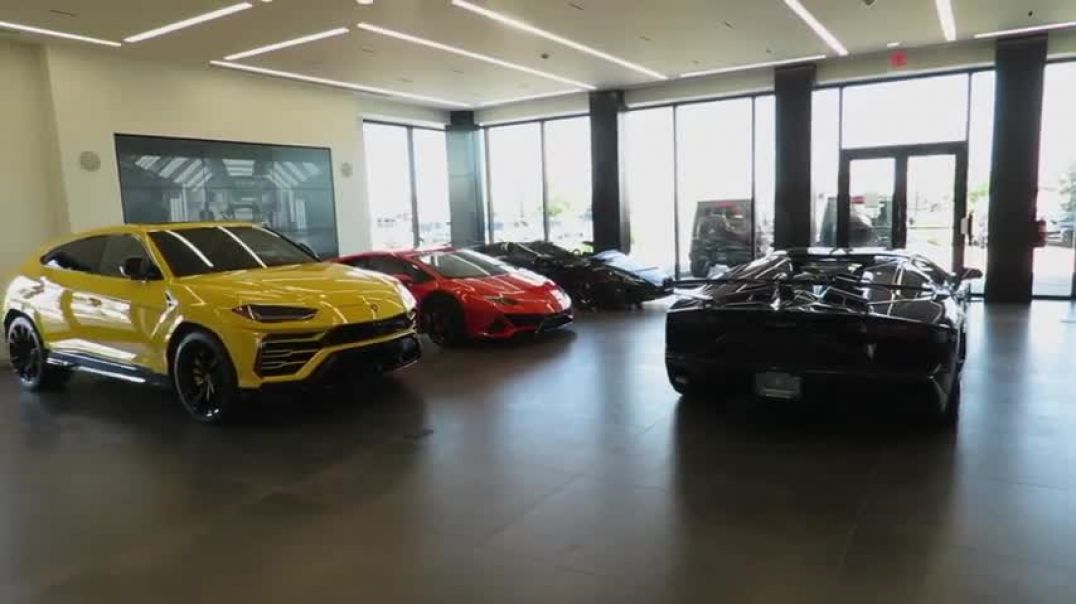 What an Insane Lineup at Lamborghini Houston!!