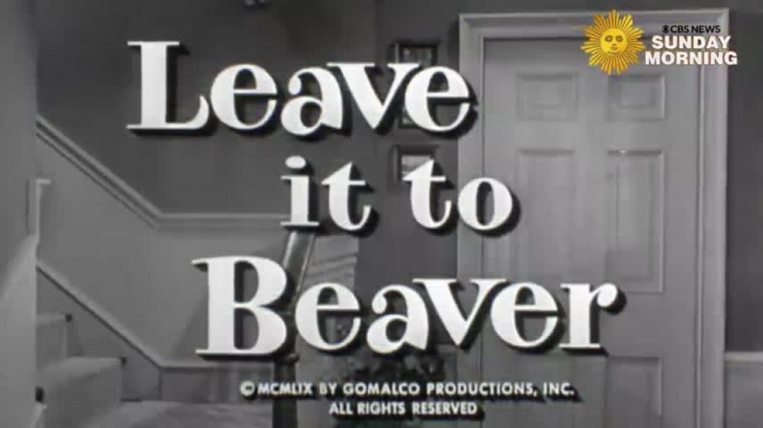 Leave It to Beaver  actor Tony Dow on depression