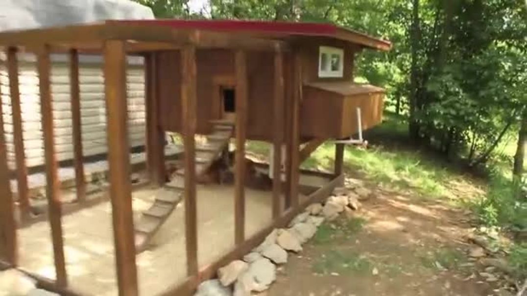 Backyard chickens - Chicken coop tour- Easy to clean