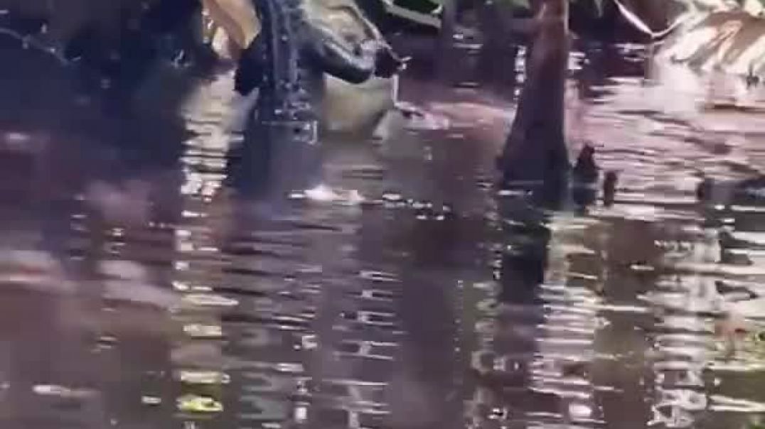 Giant Alligator Eats Smaller Gator   ViralHog