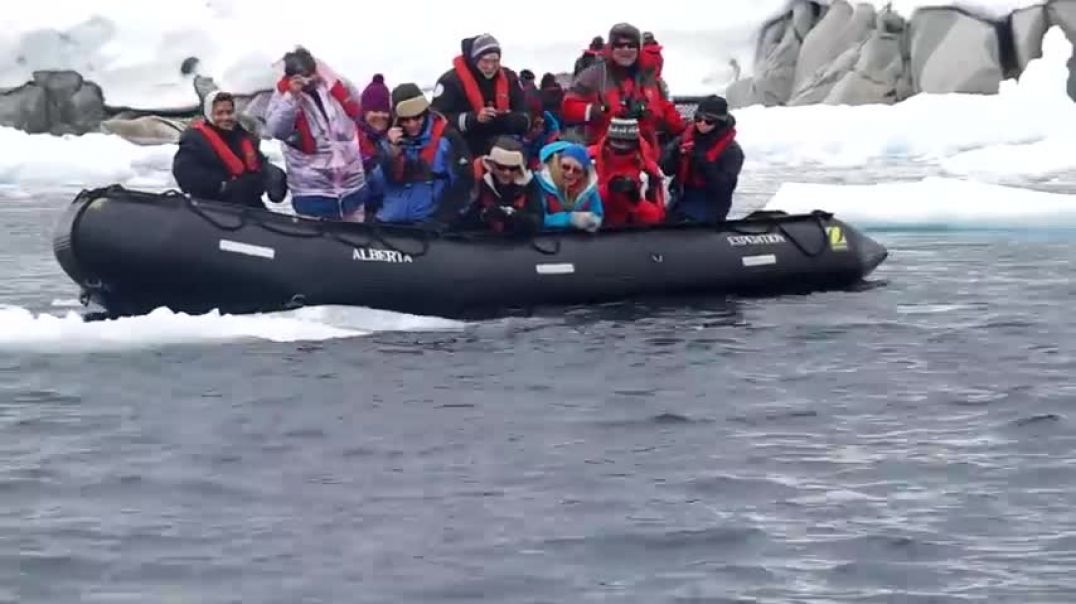 Leopard Seal Encounter