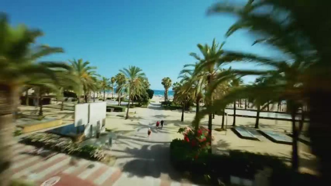 GAMBINO - SALOU (Clip Officiel)