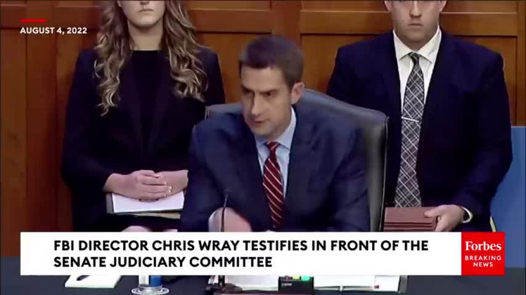 Cotton To Wray Did Biden DOJ Instruct You Not To Arrest Supreme Court Justices' Home Protesters