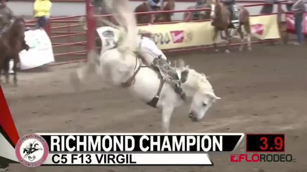 ⁣Virgil The Best Bucking Horse Of All Time