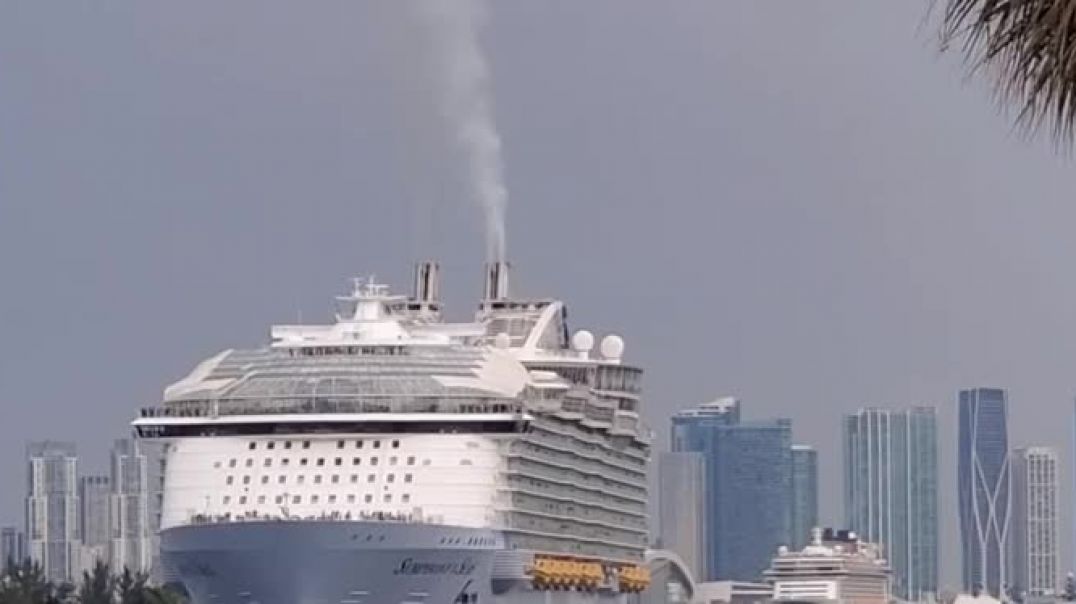 Cruise Ship Stalking( Royal Caribbean Symphony of the Seas August 2022 Miami)