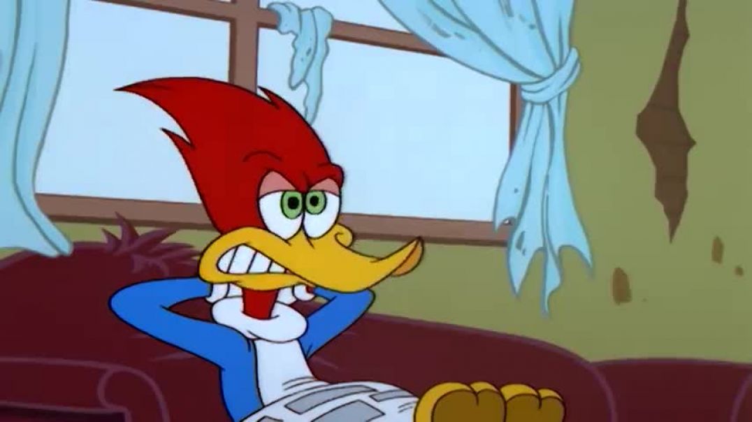 ⁣Chicken Woody   Full Episode   Woody Woodpecker   Animated Cartoons For Children