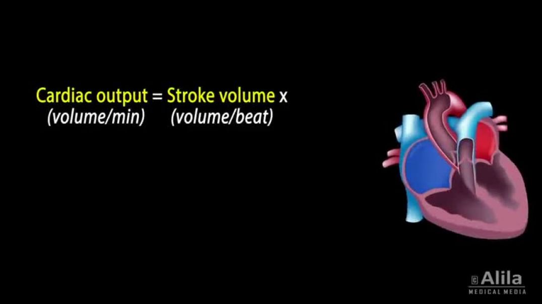 Cardiac Output, Stroke volume, EDV, ESV, Ejection Fraction