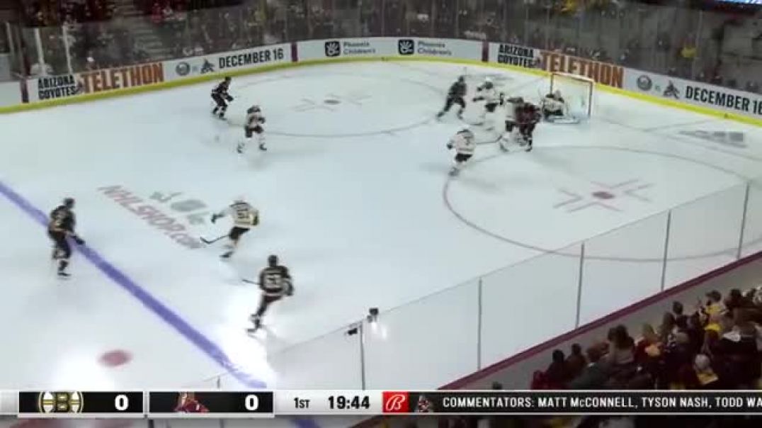 ⁣Boston Bruins vs. Arizona Coyotes | Full Game Highlights