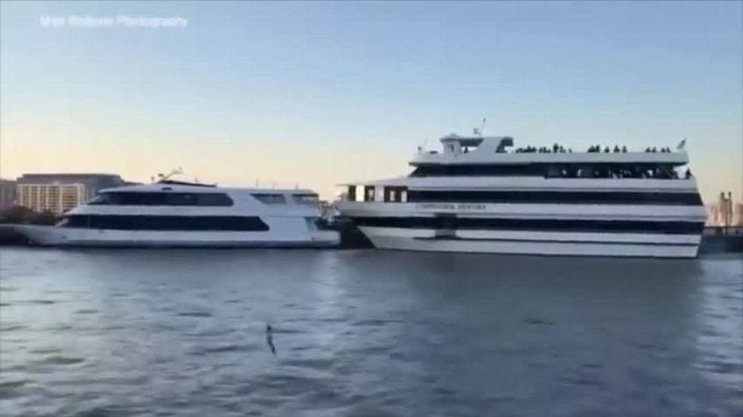 Super yacht crash compilation