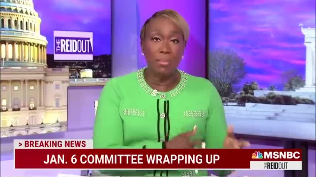 ⁣‘Utterly Deranged Logic’ Reporter On Meadows And Members Of Congress Texting To Overturn 2020