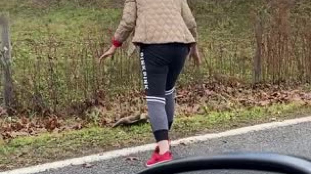 Woman Tries to Help Snapping Turtle off the Road
