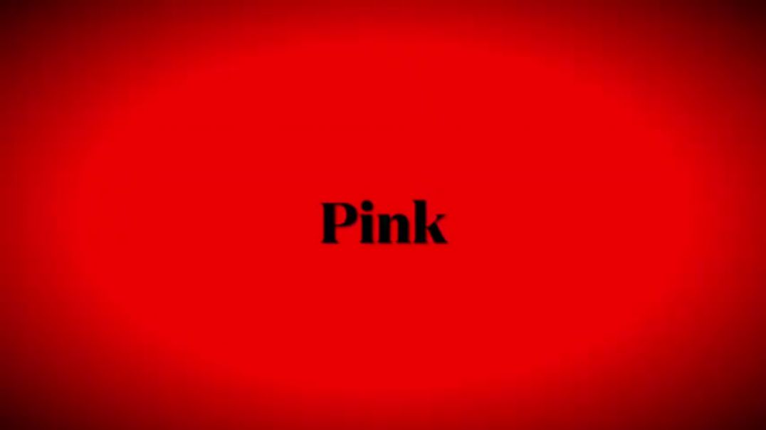 ⁣Pink   Please Don’t Leave Me - Lyric Video