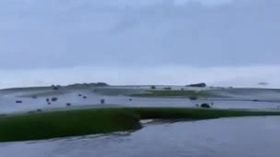 Golfers Flee as Huge Wave Hits Californian Course