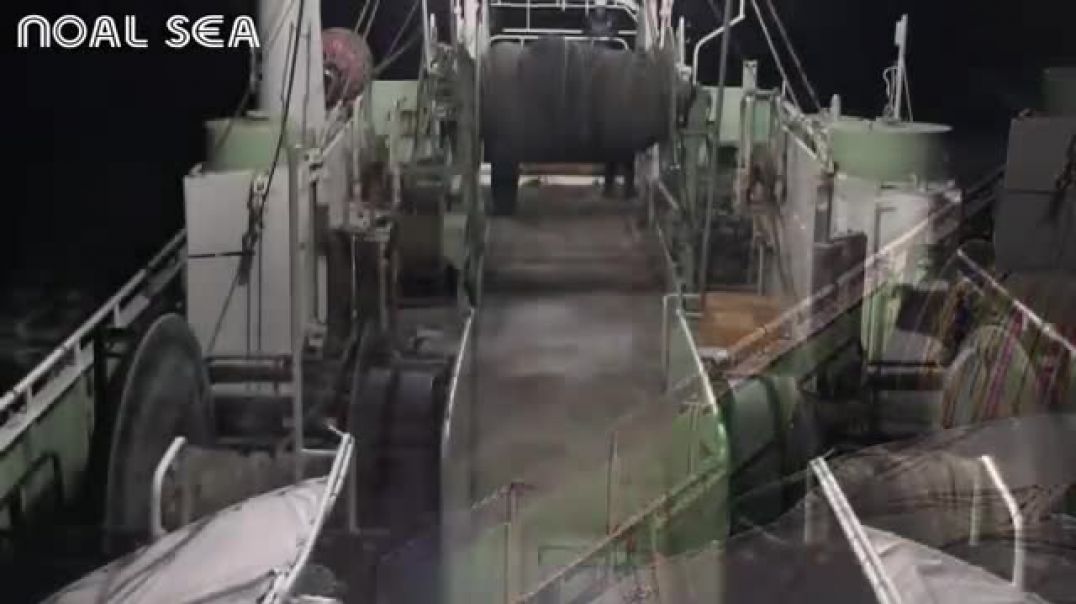 ⁣Modern Snow Crab Catching - Amazing Crab Fishing Net Deep Sea - Crab Processing in Factory
