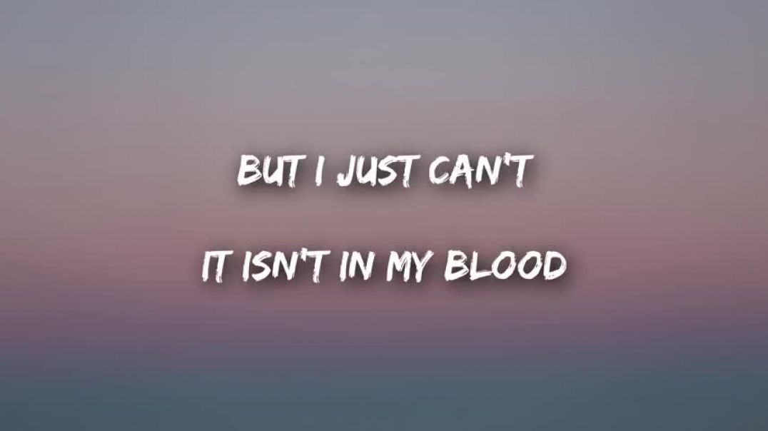 ⁣Shawn Mendes - In My Blood (Lyrics   Lyrics Video)