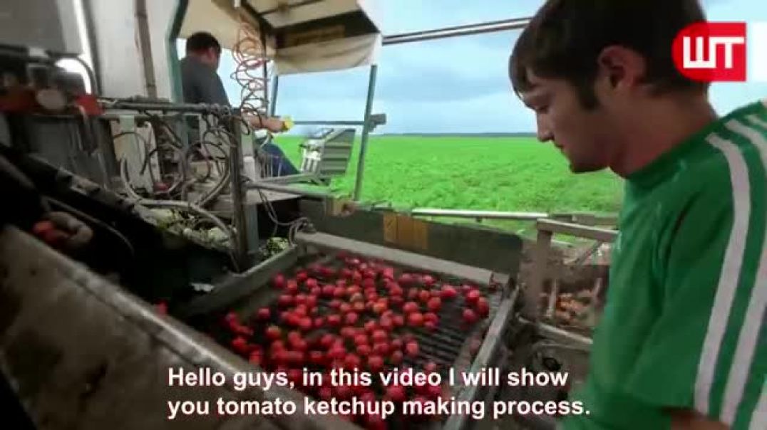 ⁣How Tomato Ketchup Is Made   Tomato Harvesting And Processing to Ketchup   Food Factory