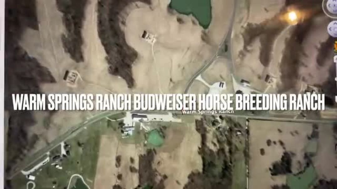 ⁣Budweiser horse breeding ranch warm springs MO