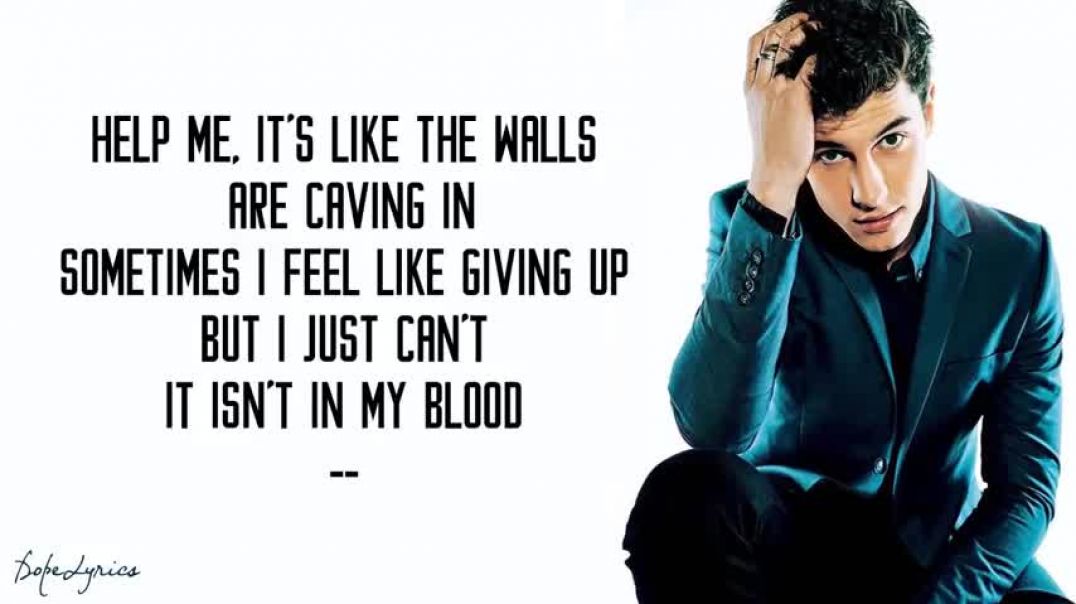 ⁣Shawn Mendes - In My Blood (Lyrics)
