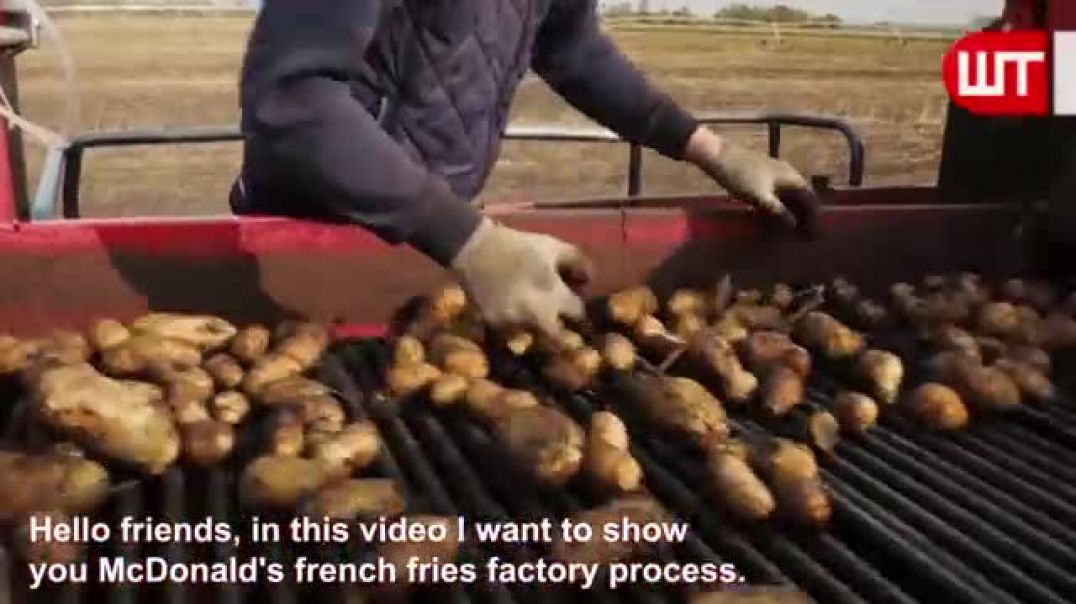 ⁣How Are McDonald's French Fries Made - Food Factory