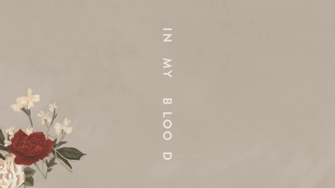 ⁣Shawn Mendes  In My Blood  (Audio)