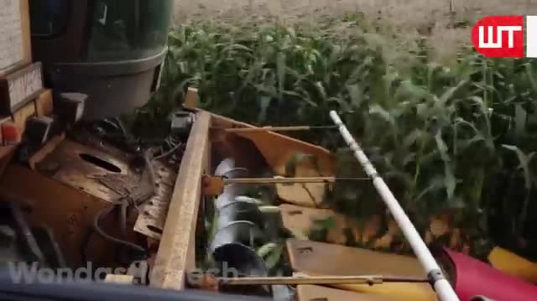 ⁣How Canned Corn Is Made   Modern Corn Harvesting Technology   Food Factory