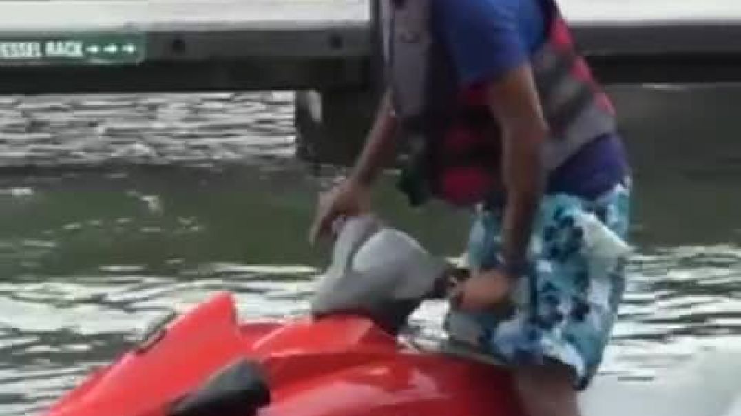 ⁣He Hits The Dock and Concrete   #shorts #boat #boatlife #fail
