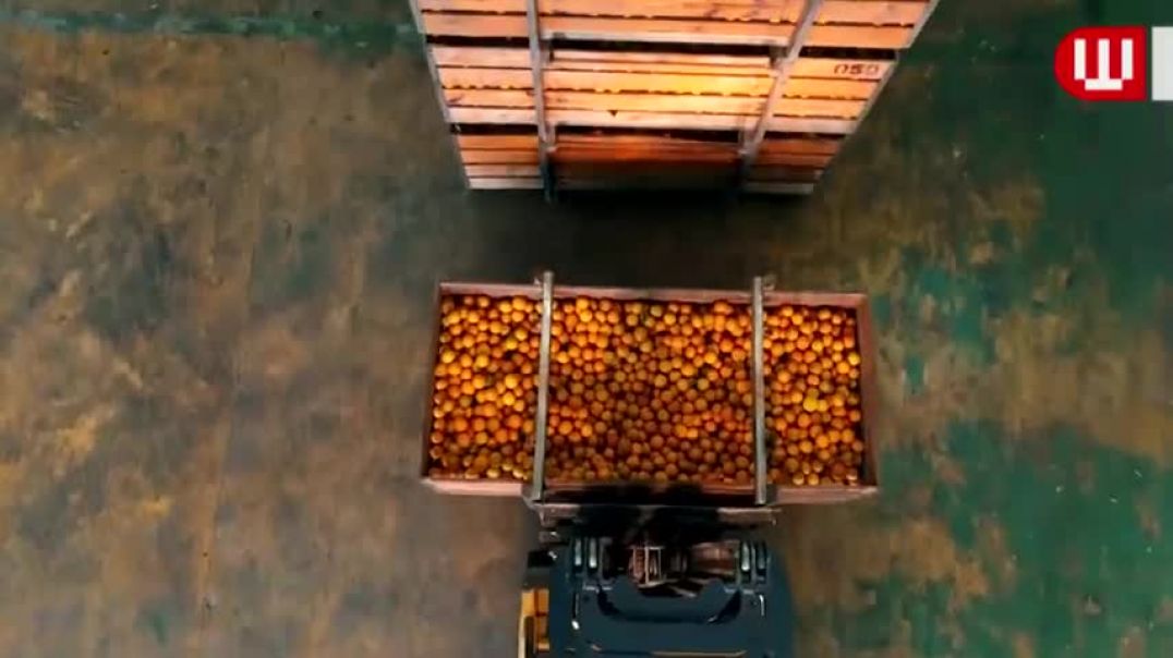 ⁣How Orange Juice Is Made In Factory   Fresh Orange Juice Factory Process
