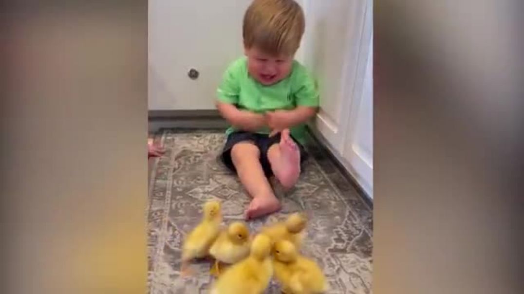 ⁣Funniest Baby Videos of the Week - Try Not To Laugh