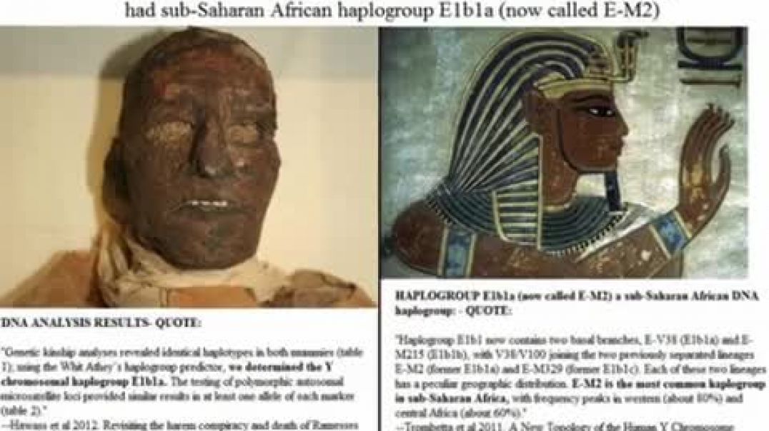 Definite Proof Ancient Egyptians were ....