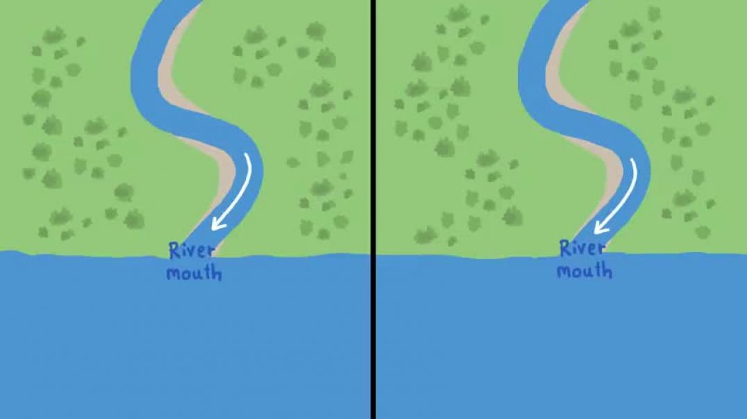 Why Do Rivers Have Deltas