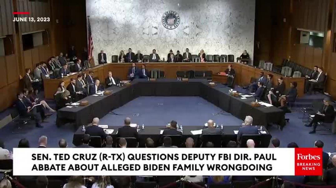 Ted Cruz Explodes On Top FBI Official Over Biden 'Bribery Scheme' Allegations