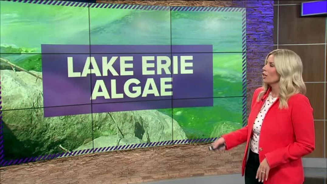 ⁣Lake Erie algal bloom outlook Early predictions for peak season
