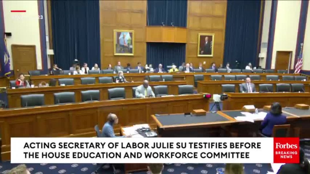 ⁣‘That Doesn’t Seem Very American To Me’ Erin Houchin Confronts Acting Labor Secretary Julie Su