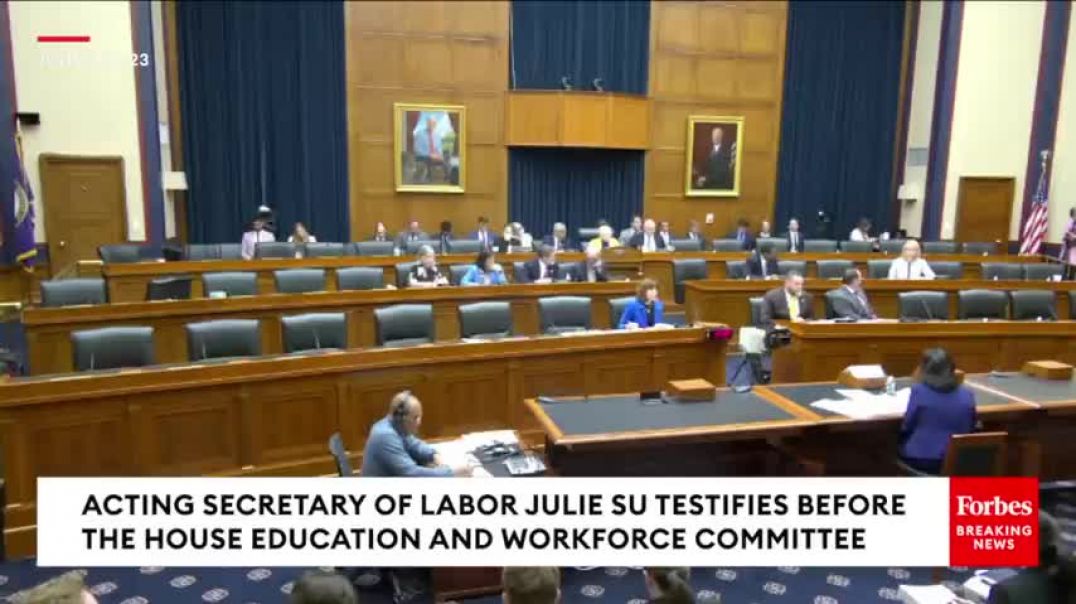 ⁣'She Cannot Be Secretary Of Labor': Mary Miller Hammers Biden Nom Julie Su Over Vaccine