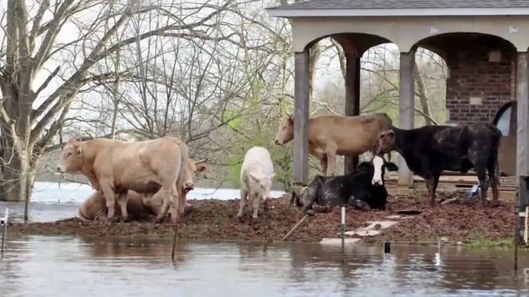 ⁣Swollen Rivers, Historic Flooding Across the South   NBC Nightly News