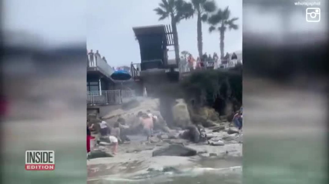Beachgoers Flee as Sea Lion Charges Out of Water