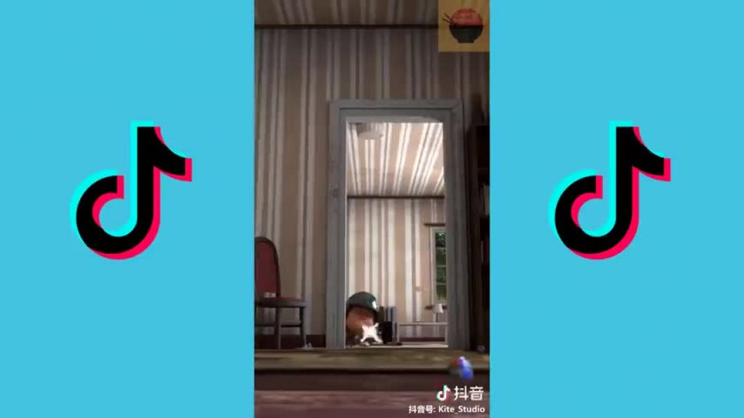 PUBG Funny Animations [Tik Tok China]