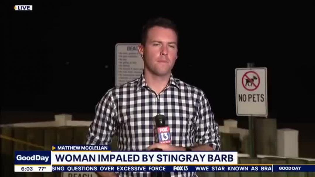 Stingray impales Florida woman at beach