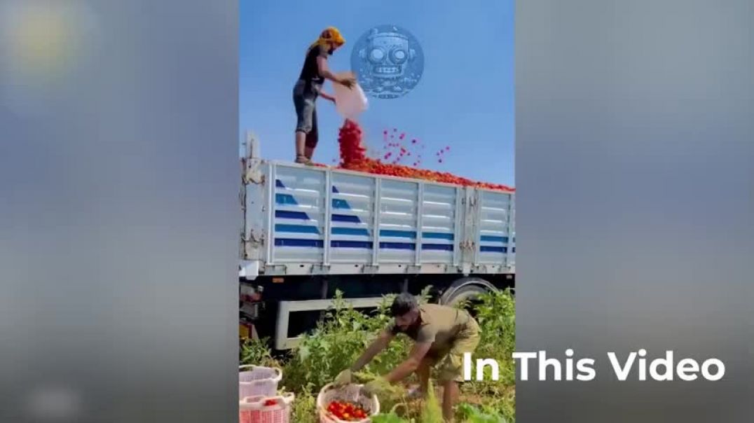 AT ANOTHER LEVEL   Satisfying Videos of Workers Doing Their NEXT LEVEL Job Perfectly!