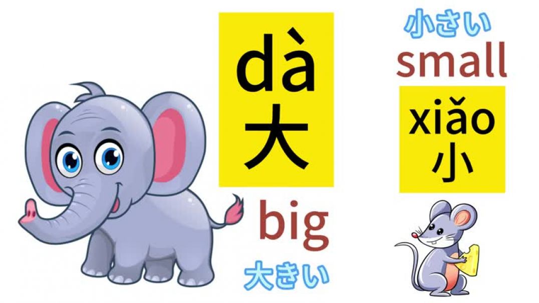 Learn Chinese-Opposite words in Chinese 反意語#learnchinese #中国語勉強#تعلماللغةالصينية #یادگیریزبانچینی