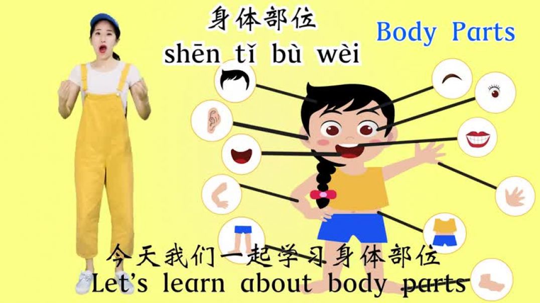 ⁣学中文 身体部位⎮Learn Part of the Body in Chinese⎮Body Parts Name in Chinese