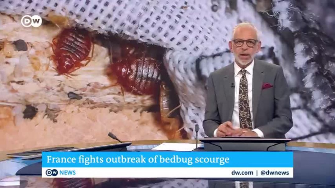 ⁣France Bedbugs send shivers through Paris   DW News