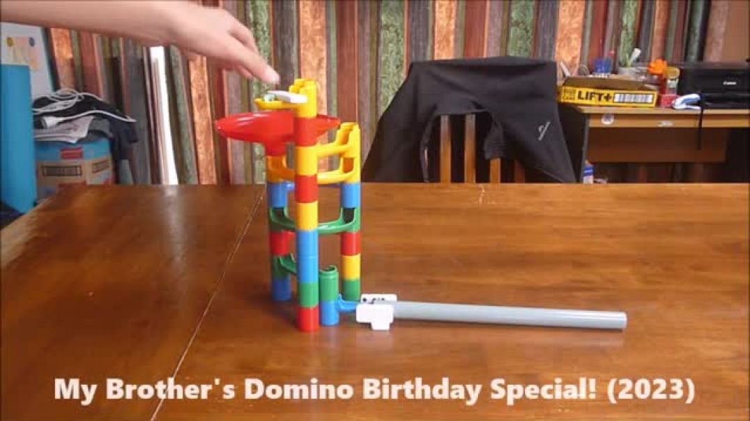⁣My Brother's Domino Birthday Special! (2023)
