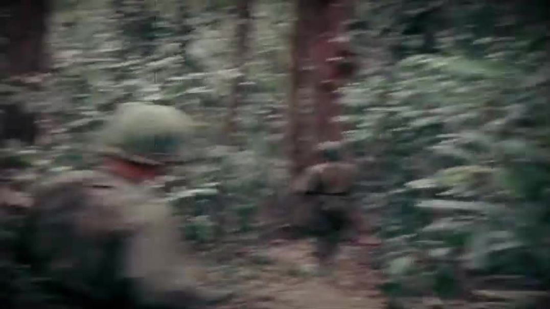 ⁣Creedence Clearwater Revival - Run Through The Jungle (Vietnam heavy combat footage)