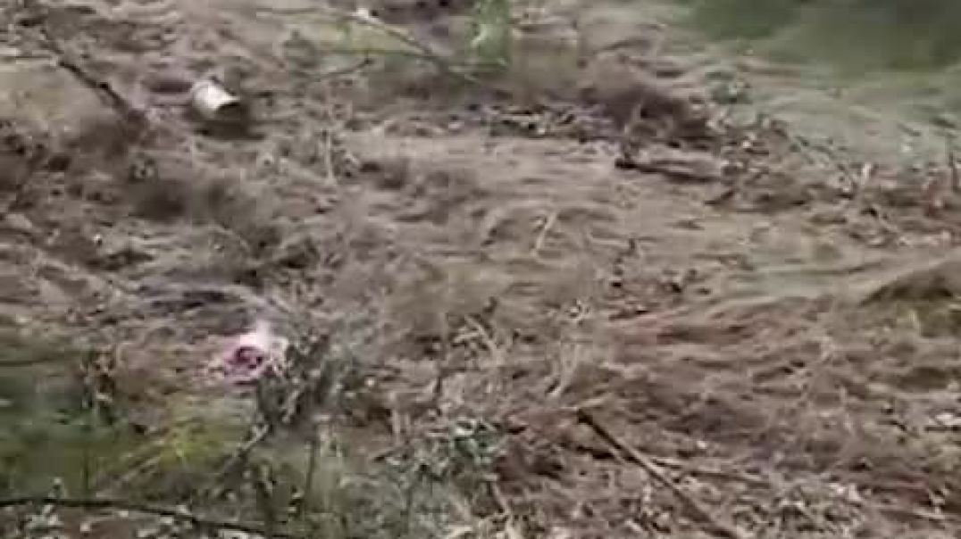 ⁣Ukrainian soldier detonates mine with a large stick
