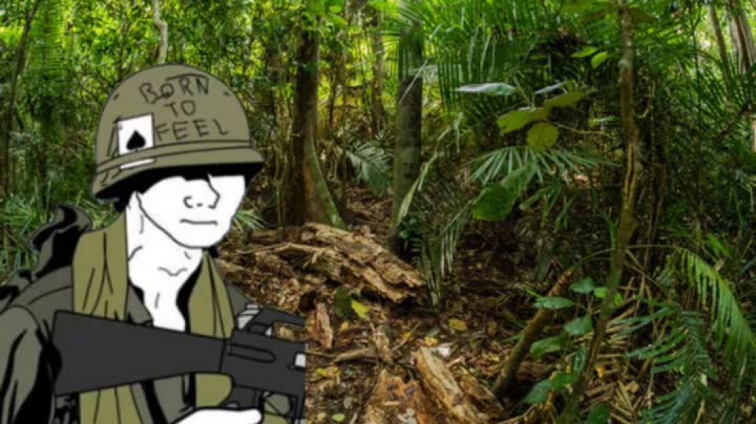 Run Through The Jungle-But your Another Marine In South Vietnam