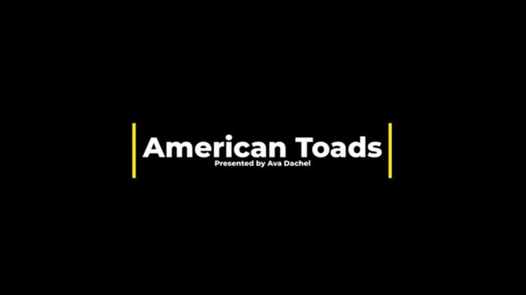⁣Nature Notes American Toads
